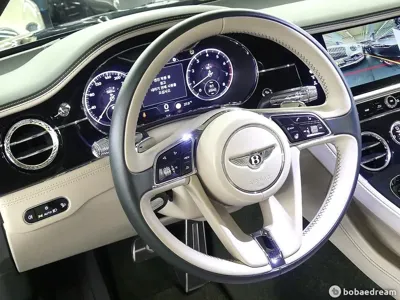 Bentley Continental 2019, 25000 км, за 110381.55 USD - фото 11