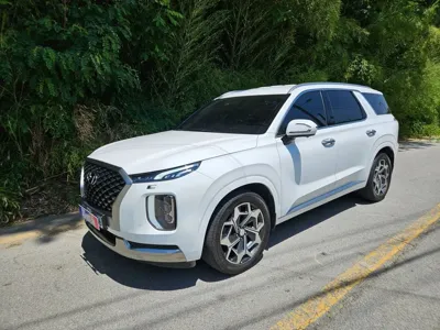 Hyundai Palisade · 2022 год