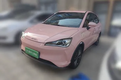NETA V · 2021 год