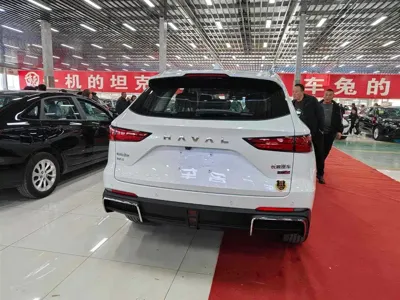 Haval Xiaolong Max 2025, 100 км, за 17431.11 USD