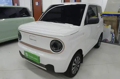 Geely Galaxy Panda · 2024 год