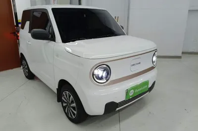 Geely Galaxy Panda 2024, 10200 км, за 7029 USD