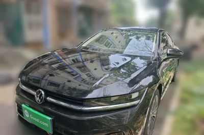 Volkswagen Magotan · 2024 год