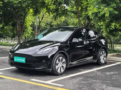 Tesla Model Y · 2022 год