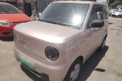Geely Galaxy Panda · 2023 год