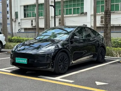 Tesla Model Y · 2021 год