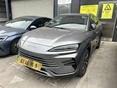 BYD PLUS New Energy · 2024 год