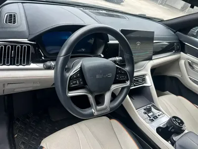 BYD PLUS New Energy 2024, 24500 км, за 13654.83 USD