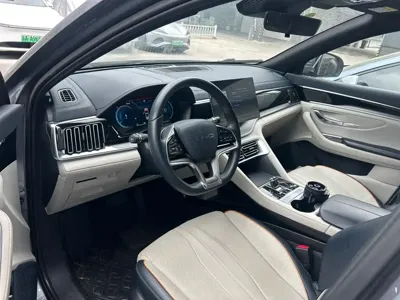 BYD PLUS New Energy 2024, 24500 км, за 13654.83 USD