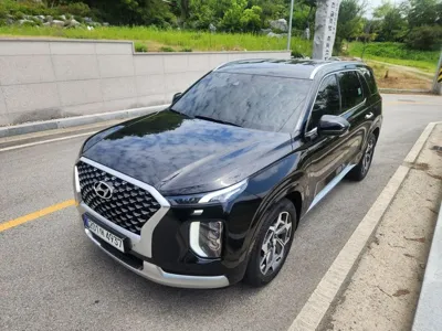 Hyundai Palisade · 2021 год