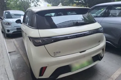 BYD Dolphin 2025, 100 км, за 13656 USD - фото 6