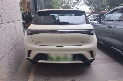 BYD Dolphin 2025, 100 км, за 13656 USD - фото 7