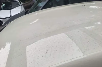 BYD Dolphin 2025, 100 км, за 13656 USD - фото 9