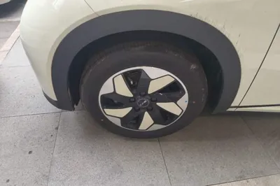BYD Dolphin 2025, 100 км, за 13656 USD - фото 12