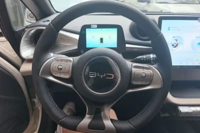 BYD Dolphin 2025, 100 км, за 13656 USD - фото 15