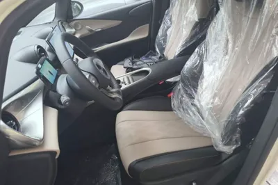 BYD Dolphin 2025, 100 км, за 13656 USD - фото 19