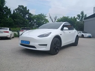 Tesla Model Y · 2024 год
