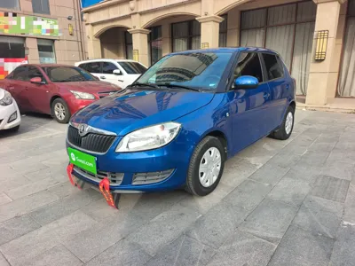 Skoda Fabia · 2014 год