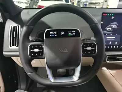 Li Auto Li L9 2023, 49400 км, за 36285.47 USD - фото 11