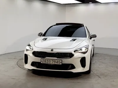 Kia Stinger 2018, 40870 км, за 10228.02 USD