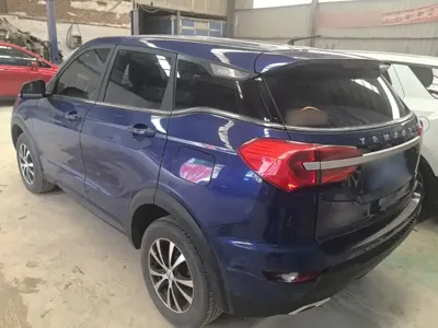 Yema Bojun 2021, 36300 км, за 3309.81 USD