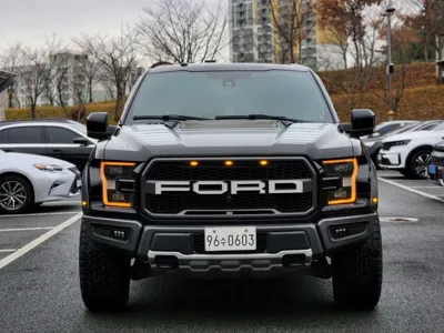 Ford F150 2018, 178000 км, за 30604.92 USD