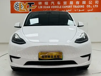 Tesla Model Y 2023, 109000 км, за 20413.27 USD