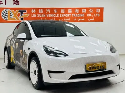 Tesla Model Y 2023, 109000 км, за 20413.27 USD