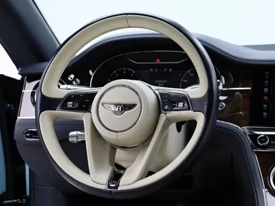 Bentley Continental 2020, 49800 км, за 277805.09 USD - фото 13