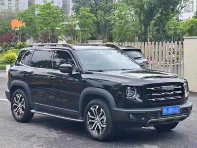 Haval Big Dog 2020, 50000 км, за 5149.99 USD