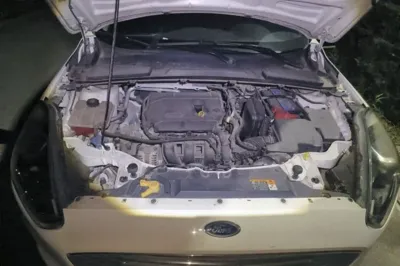 Ford Escort 2019, 41500 км, за 7222 USD - фото 18