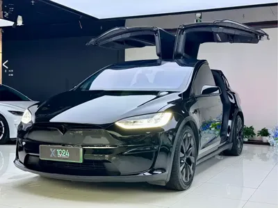 Tesla Model X · 2023 год
