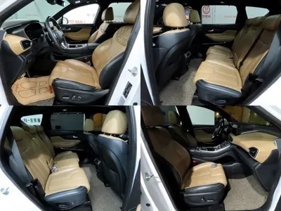 Hyundai Santafe 2021, 94919 км, за 19209.47 USD - фото 15