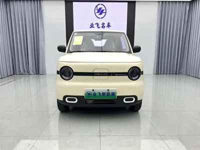Galaxy Panda 2025, 2800 км, за 4987.5 USD