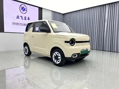 Galaxy Panda 2025, 2800 км, за 4987.5 USD