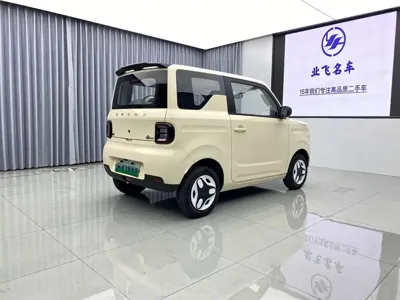 Galaxy Panda 2025, 2800 км, за 4987.5 USD