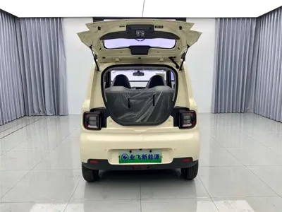 Galaxy Panda 2025, 2800 км, за 4959.36 USD - фото 16
