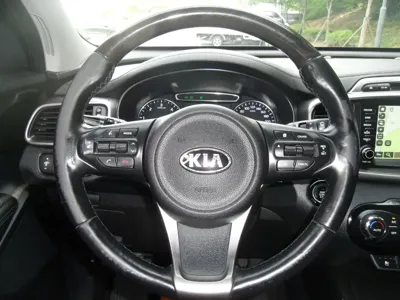 Kia Sorento 2016, 154780 км, за 6544.16 USD - фото 12