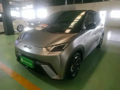 BYD Seagull · 2024 год