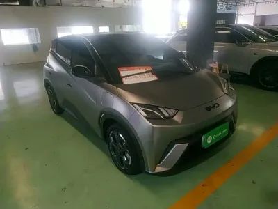 BYD Seagull 2024, 13000 км, за 7430.7 USD