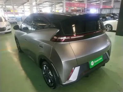 BYD Seagull 2024, 13000 км, за 7430.7 USD