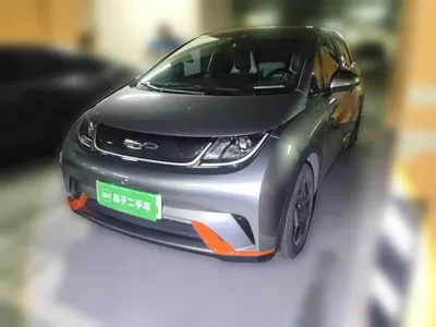 BYD Dolphin · 2022 год