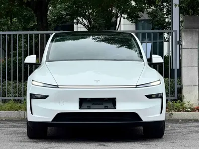 Tesla Model Y · 2025 год