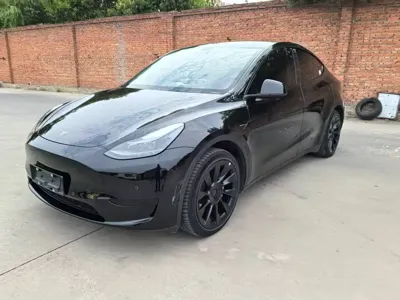 Tesla Model Y · 2023 год