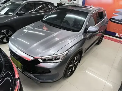 BYD Pro New Energy 2024, 29200 км, за 10741.4 USD