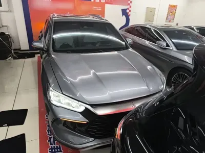 BYD Pro New Energy 2024, 29200 км, за 10741.4 USD
