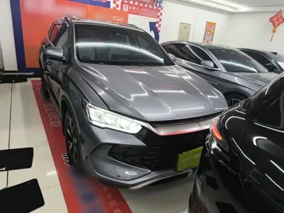BYD Pro New Energy 2024, 29200 км, за 10741.4 USD
