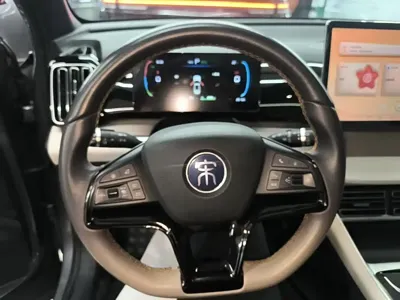 BYD Pro New Energy 2024, 29200 км, за 10741.4 USD - фото 11