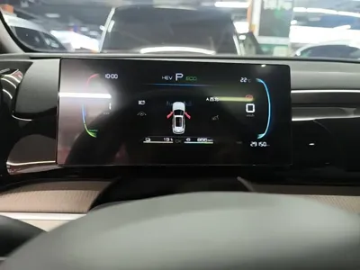 BYD Pro New Energy 2024, 29200 км, за 10741.4 USD - фото 12