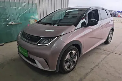 BYD Dolphin · 2024 год